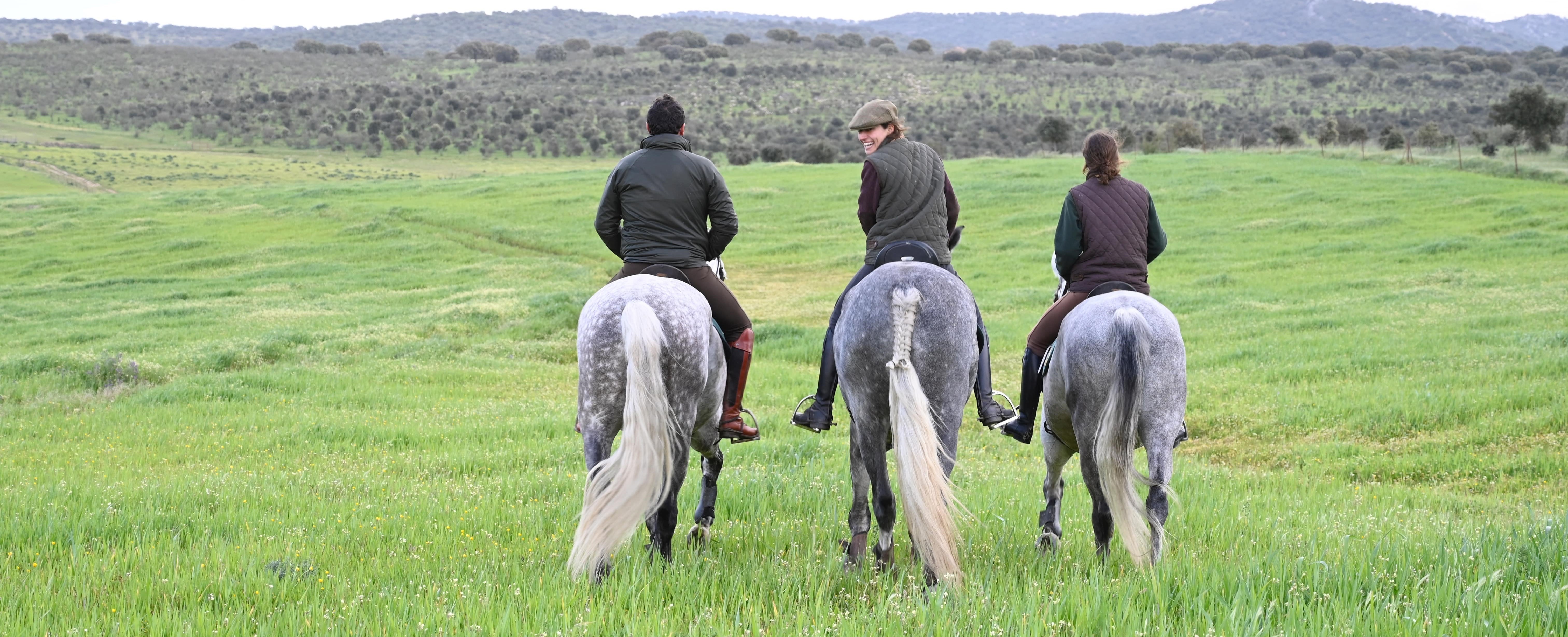 Descripción de la imagen